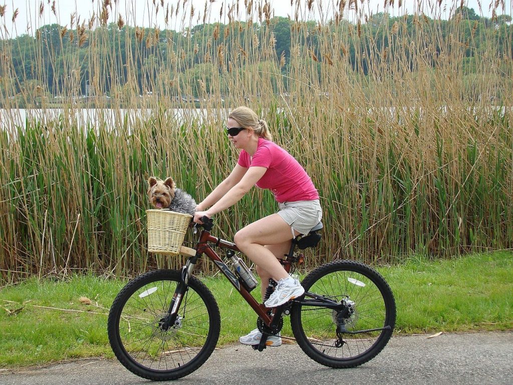Podróże rowerowe